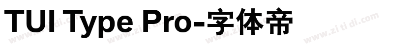 TUI Type Pro字体转换